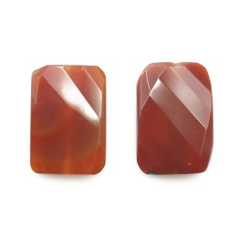 Piedra Natural 30x20mm Rectangulo Curvo Facetado Cornelia