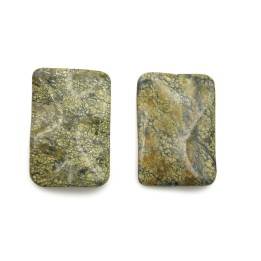 Piedra Natural 20x30x6mm Rectangulo Piel de Serpiente