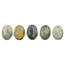 Piedra natural 10x14mm Oval Ocean Jasper